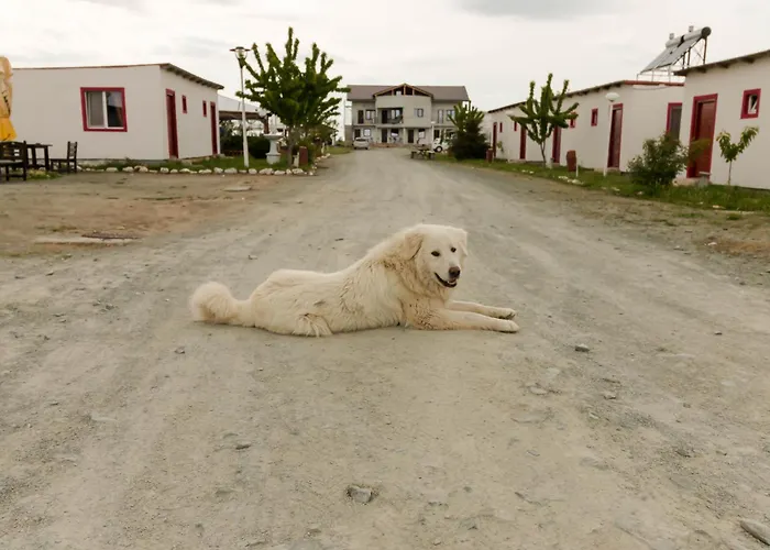 Konukevi Complex Route 66 Vama Veche