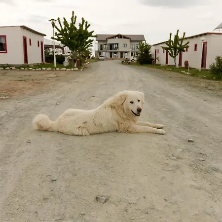 Pensiune Complex Route 66 Vama Veche